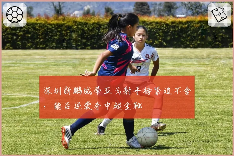 深圳新鹏城蒂亚戈射手榜紧追不舍，能否逆袭夺中超金靴